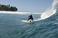 Nuova Guinea Surf13